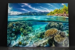 Klaasi maalimine korallriff mererand 150x95 cm цена и информация | Детали интерьера | kaup24.ee