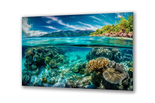 Klaasi maalimine korallriff mererand 130x83 cm hind ja info | Sisustuselemendid | kaup24.ee
