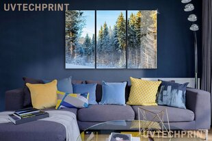 Klaasi maalimine talvine männimets loodus 200x110 cm цена и информация | Детали интерьера | kaup24.ee