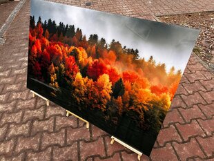 Klaasi maalimine metsa sügis loodus 130x83 cm цена и информация | Детали интерьера | kaup24.ee