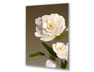 Klaasi maalimine lilled valge lill hallil taustal 83x130 cm hind ja info | Sisustuselemendid | kaup24.ee