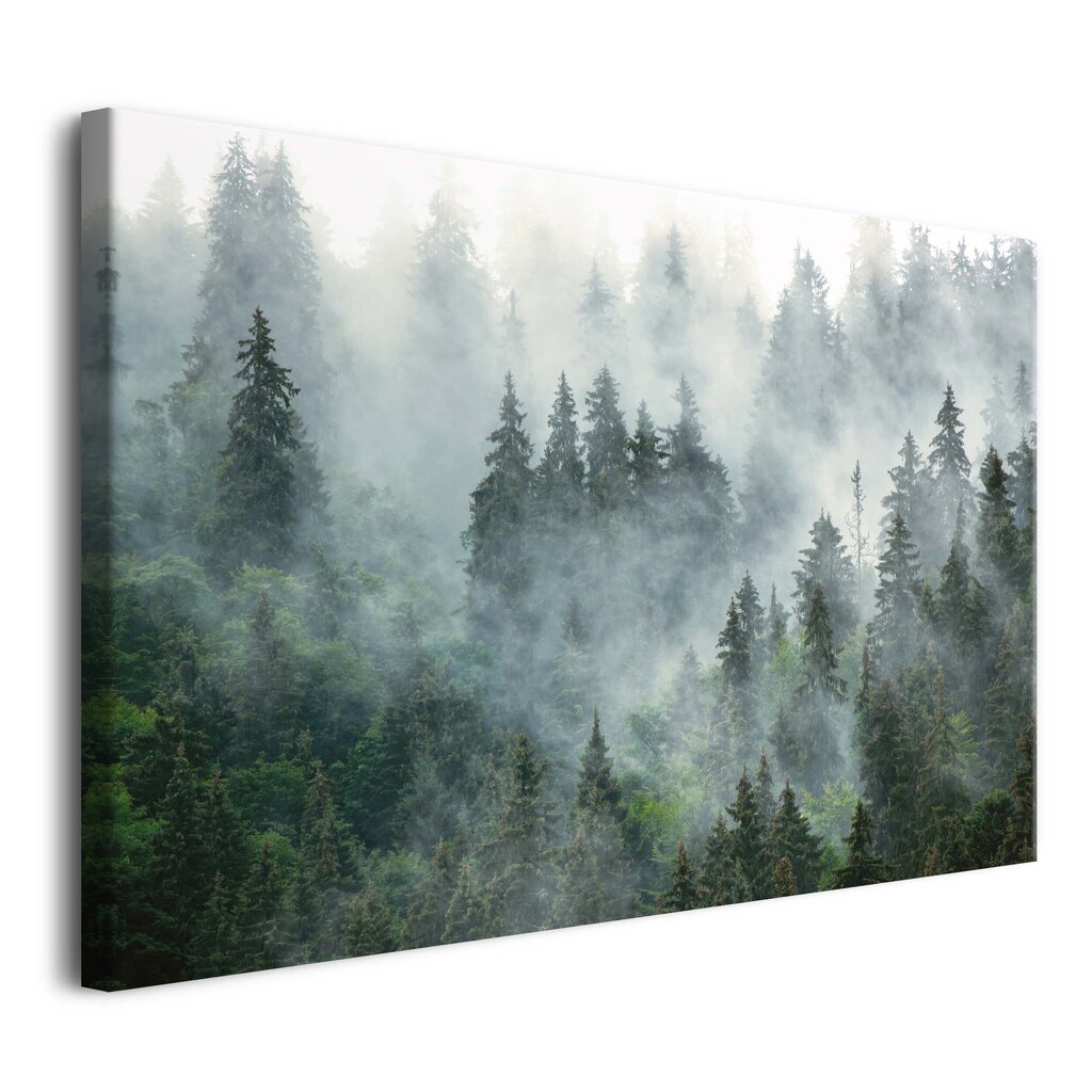 Moodne lõuendimaal elutoa magamistoa jaoks Forest in Mist Dekoratsioon 80x120 hind ja info | Seinapildid | kaup24.ee