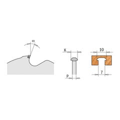 240.601.04 CMT DIA фреза для реек 100x22x3Z / Lamello ZETA P2 / P-SYSTEM цена и информация | Пилы, циркулярные станки | kaup24.ee