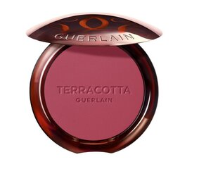 Румяна для лица Guerlain Gier Terracotta Polvos, 04 Deep Pink, 5 г цена и информация | Бронзеры (бронзаторы), румяна | kaup24.ee