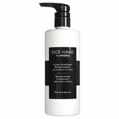 Juuksepalsam Hair Rituel By Sisley, 500 ml hind ja info | Juuksepalsamid | kaup24.ee