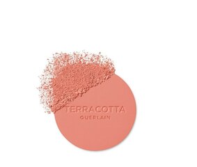 Румяна для лица Guerlain Gier Terracotta Polvos, 02 Light Coral, 5 г цена и информация | Бронзеры (бронзаторы), румяна | kaup24.ee