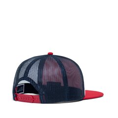 Кепка Herschel Whaler Mesh Cap цена и информация | Мужские шарфы, шапки, перчатки | kaup24.ee