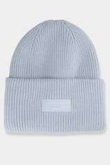 Women's Winter Hat with 4F Logo 4FAW23ACAPF295-34S Blue 29486-49 цена и информация | Мужские ботинки | kaup24.ee