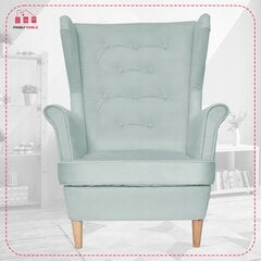 Family Furniture Diana Skandinaavia tugitool piparmündi pastelsinine lugemine цена и информация | Кресла в гостиную | kaup24.ee