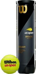 Теннисные мячи Wilson US Open Extra Duty - набор из 4 шт. цена и информация | Другие товары для фитнеса | kaup24.ee