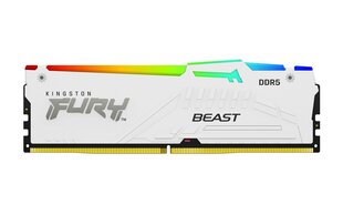 Kingston Fury Beast White RGB (KF564C32BWEA-16) цена и информация | Оперативная память (RAM) | kaup24.ee