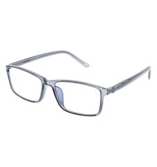 Brilles lasīšanai 7700 D1.00 Screen Cristal цена и информация | Очки | kaup24.ee