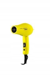 MINI Compact Travel Folding Hair Dryer - Lemon B352G цена и информация | Фены | kaup24.ee