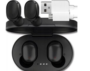 Беспроводные наушники DSJ EarBuds цена и информация | Наушники | kaup24.ee