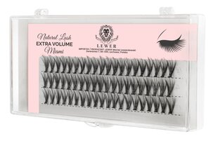 Ripsmed Lewer Eyelash Miami, 10 mm hind ja info | Kunstripsmed, ripsmekoolutajad | kaup24.ee