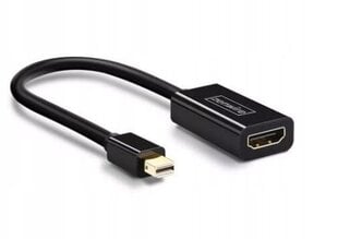 Zenwire Adapter mini DP - HDMI kaabel цена и информация | Адаптеры и USB-hub | kaup24.ee