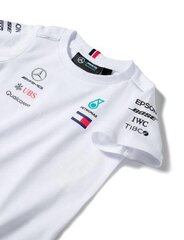 Мужская футболка Mercedes AMG Petronas, белая цена и информация | Мужские футболки | kaup24.ee