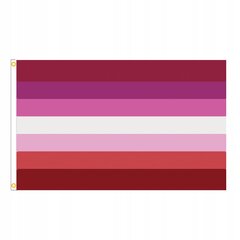 LGBT LARGE Rainbow Flag 90x150cm PANSEXUALITY F2 цена и информация | Флаги и держатели для флагов | kaup24.ee