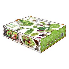 Viljeluskomplekt Batlle Baby Leaves Salatid 40 x 29 x 10,5 cm 2,6 Kg hind ja info | Floristlika materjalid | kaup24.ee