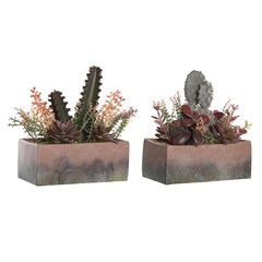 Декоративное растение DKD Home Decor 19 x 9 x 22 cm Розовый Оранжевый Кактус Резина Eva полипропилен (2 штук) цена и информация | Искусственные цветы | kaup24.ee