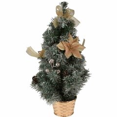 Kunstlik jõulupuu kuldses potis 50 cm jõulupuu, plastist, kaunistatud kunstlume ja käbidega, paigutatud kuldses potis. hind ja info | Kunstkuused | kaup24.ee