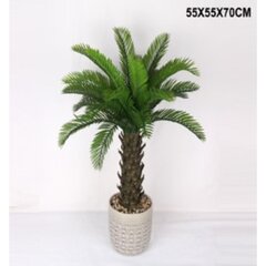 Deco Plant Cycas 70cm hind ja info | Kunstlilled | kaup24.ee