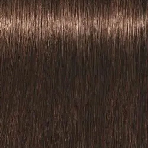 Juuksevärv Schwarzkopf Professional Igora Royal Absolutes 60 ml, 5-60 Light Brown Chocolate Natural цена и информация | Juuksevärvid | kaup24.ee