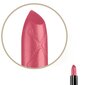 Huulepulk Max Factor Colour Elixir Matte 20 Rose 3.4 g цена и информация | Huulepulgad, -läiked, -palsamid, vaseliin | kaup24.ee