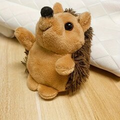 '1 tk Little Hedgehog Plush Doll Ripats Rõivaste Aksessuaarid Auto Rool Palus Nukk Armas Siil Loomingulised kingitused Peoteenid' hind ja info | Peokaunistused | kaup24.ee