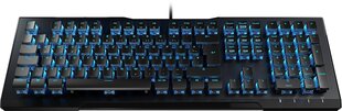 Roccat клавиатура Vulcan 80 US цена и информация | Клавиатуры | kaup24.ee