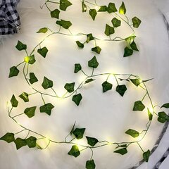 'Ivy Leaf Garland Fairy String tuled, 100 LED-i USB-pistikuga kardinalamp, 8 režiimi, realistlik lehestiku sisekujundus magamistoas, hotellis, restoranis, pulmas, sise- ja välispeol – arvutimaterjal, 14-aastased ja vanemad' hind ja info | Peokaunistused | kaup24.ee