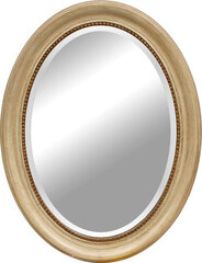 Зеркало Treviso, 95x75 см, серое цена и информация | Подвесные зеркала | kaup24.ee