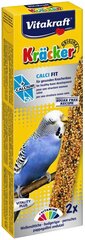 Лакомства с кальцием для волнистых попугаев Vitakraft Kracker, 2 шт. цена и информация | Корм для птиц | kaup24.ee