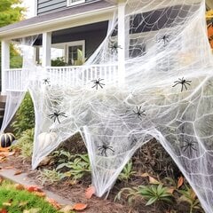'200 pehmet ämblikuvõrku Halloweeni kaunistuste boonus 10 võltsämblikuga Ülimalt veniv ämblikuvõrk Halloweeni sise- ja välispidudeks' hind ja info | Peokaunistused | kaup24.ee