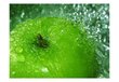 Fototapeet - Roheline õun hind ja info | Fototapeedid | kaup24.ee