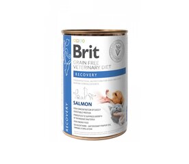 Brit GF Veterinary Diets Recovery влажный корм для выздоравливающих собак и кошек, 0,4 кг цена и информация | Сухой корм для собак | kaup24.ee