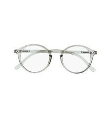 Brilles lasīšanai 7603 D1.25 Grey Cristal цена и информация | Очки | kaup24.ee