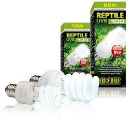 Terrariumi lamp Reptile UVB100 26w PT2187 hind ja info | Kaubad eksootilistele loomadele | kaup24.ee