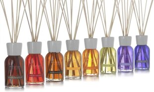Lõhnapulgad Millefiori Natural Fragrance Sandalo Bergamotto 250 ml цена и информация | Домашние ароматы с палочками | kaup24.ee