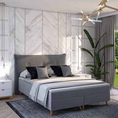 Кровать Satli, 160х200 см, серая цена и информация | Кровати | kaup24.ee