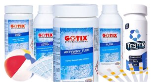 Komplekt Gotix Professional 5 kg + Infoleht Gotix цена и информация | треугольный насос для бассейна | kaup24.ee