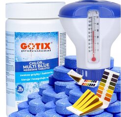 Klooritabletid Gotix Professional 0,5 kg 0,5 l hind ja info | Basseini puhastusvahendid | kaup24.ee