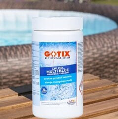 Klooritabletid Gotix Professional 0,5 kg 0,5 l цена и информация | Химия для бассейнов | kaup24.ee