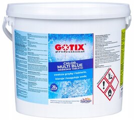 Kloori tabletid Gotix 3 kg 3 l + Infoleht Gotix hind ja info | Basseini puhastusvahendid | kaup24.ee