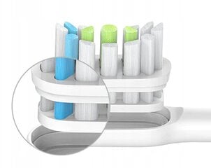 Elektrilised hambaharja otsikud Soocas, 2 tk. цена и информация | Насадки для электрических зубных щеток | kaup24.ee