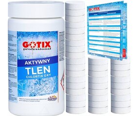 Tabletipuhastusvahend Gotix Professional, 1 kg + Leaflet Gotix цена и информация | Химия для бассейнов | kaup24.ee