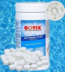 Tabletipuhastusvahend Gotix Professional, 1 kg + Leaflet Gotix hind ja info | Basseini puhastusvahendid | kaup24.ee