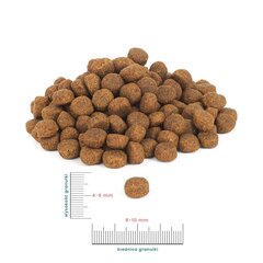 Perro kutsikatele veiseliha ja bataadiga, 1 kg hind ja info | Kuivtoit koertele | kaup24.ee