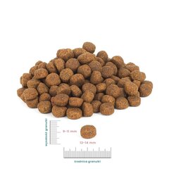 Perro keskmistest ja suurtest tõugudest koertele veise- ja lambalihaga, 1 kg цена и информация | Сухой корм для собак | kaup24.ee