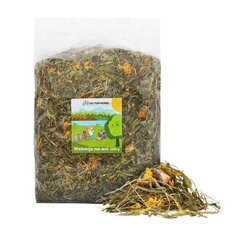 Toit närilistele ja küülikutele Factoryherbs Wakacje na wsi, 1,5 kg цена и информация | Корм для грызунов | kaup24.ee